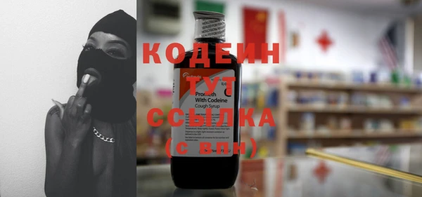 индика Арсеньев